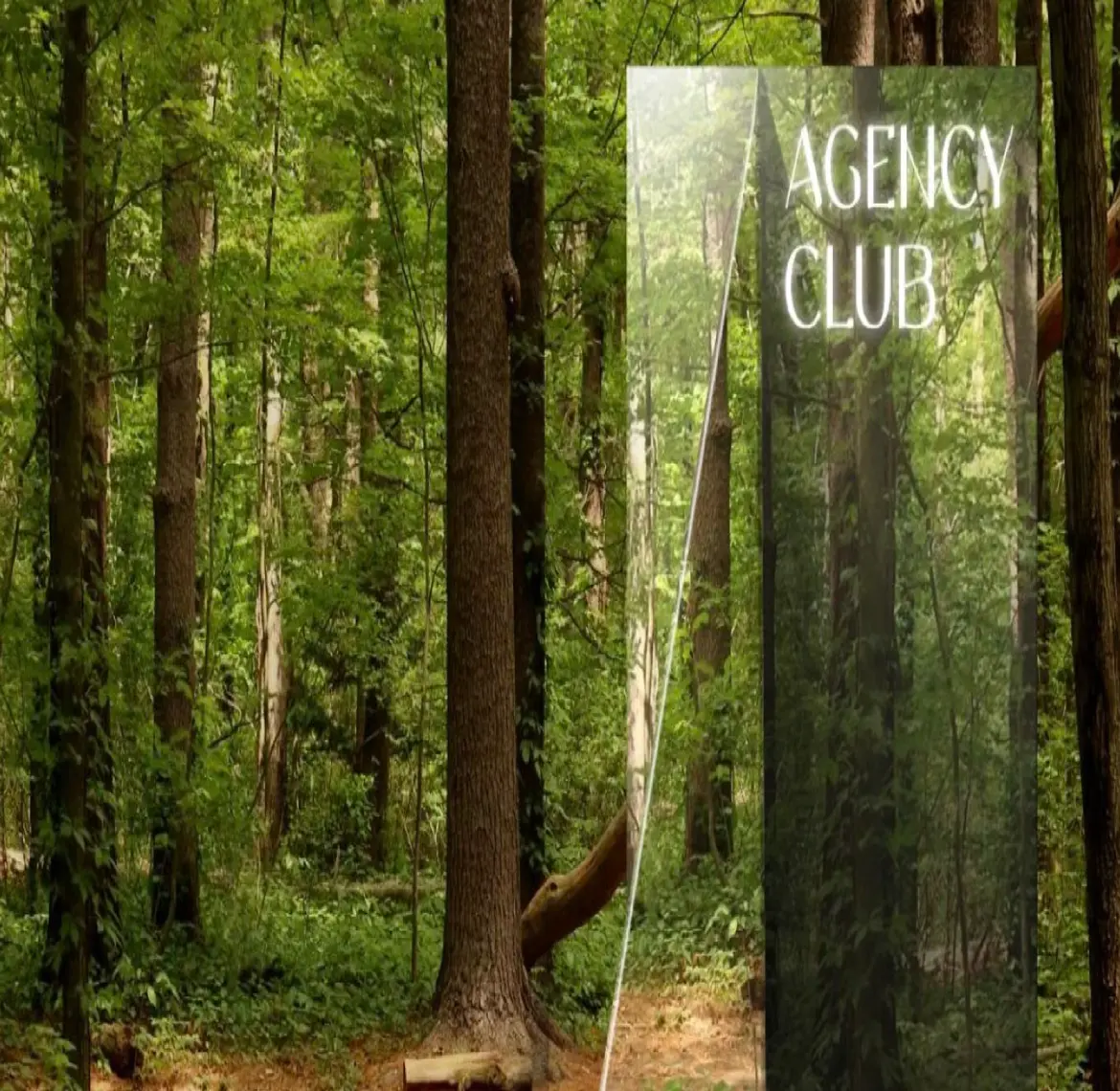 Agency Club
